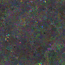 World at epoch 49000