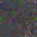 World at epoch 38000