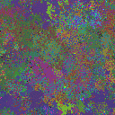 World at epoch 30000