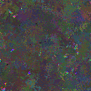 World at epoch 40000