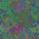World at epoch 35000