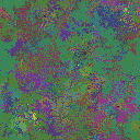 World at epoch 37000