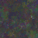 World at epoch 49000