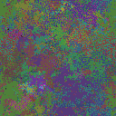 World at epoch 40000