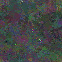 World at epoch 49000