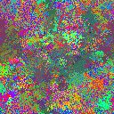 World at epoch 25000