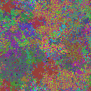 World at epoch 25000
