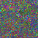 World at epoch 35000