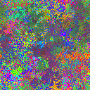 World at epoch 26000