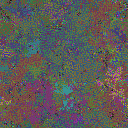 World at epoch 48000