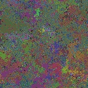 World at epoch 50000