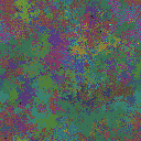 World at epoch 48000