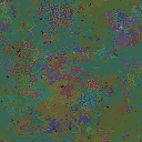 World at epoch 25000