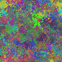 World at epoch 35000