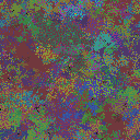 World at epoch 35000