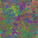 World at epoch 25000