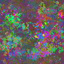 World at epoch 25000
