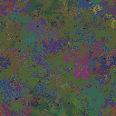 World at epoch 31000