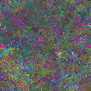World at epoch 25000