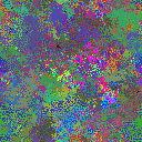 World at epoch 29000