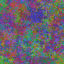 World at epoch 25000