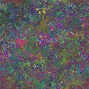 World at epoch 37000