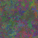 World at epoch 37000