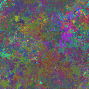World at epoch 35000