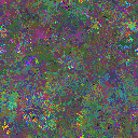 World at epoch 39000
