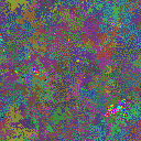 World at epoch 31000