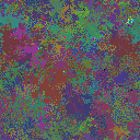 World at epoch 49000