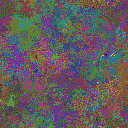 World at epoch 49000