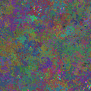 World at epoch 35000