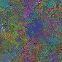 World at epoch 50000