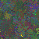 World at epoch 39000