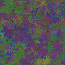 World at epoch 60000