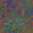 World at epoch 40000