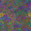 World at epoch 60000
