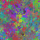 World at epoch 25000