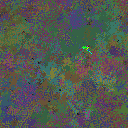 World at epoch 49000