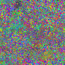 World at epoch 25000