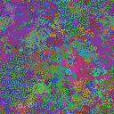 World at epoch 25000