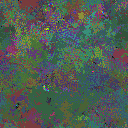World at epoch 49000