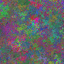 World at epoch 31000