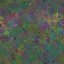World at epoch 51000