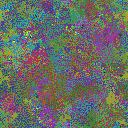 World at epoch 29000