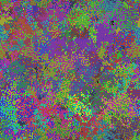 World at epoch 31000