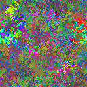World at epoch 25000