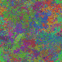 World at epoch 25000