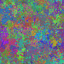 World at epoch 25000